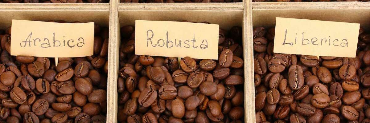  Арабика: выбор чувствительных кофеманов 